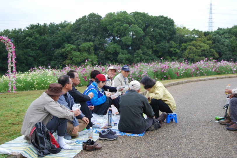 コスモス畑の中で弁当をひろげる参加者のみなさん。